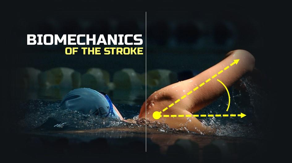 Efficient Swim Stroke