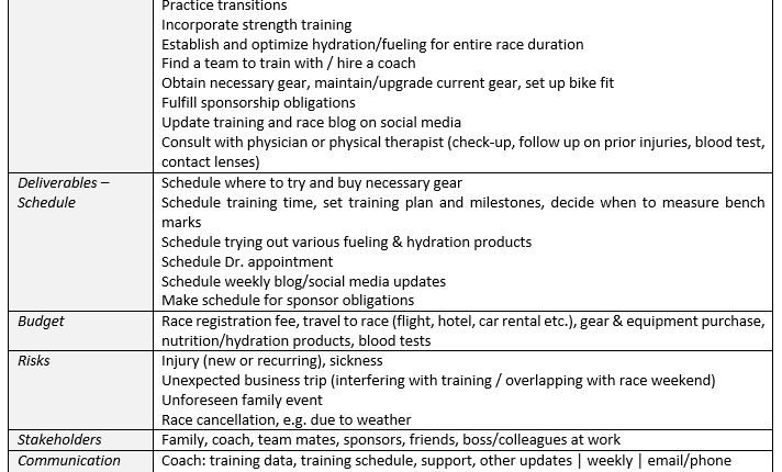 IMAGE 1_Project Plan Table